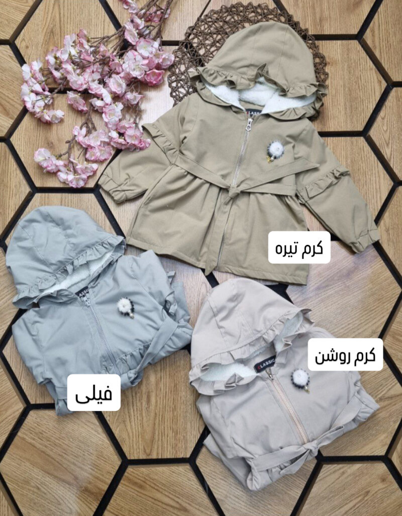 پالتو تمام خز - تصویر 2